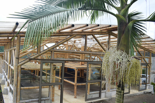 KOLUMBIA EL RENACER - PASSION FRUIT COFERMENT