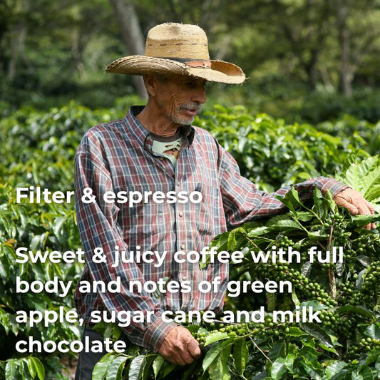 GUATEMALA GREEN VALLEY OF THE CHORTI - YOUTH EDUCATION PROJECT COFFEE