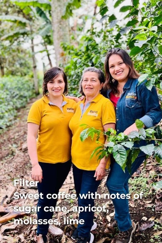 COLOMBIA PAOLA TRUJILLO - WASHED CATURRA