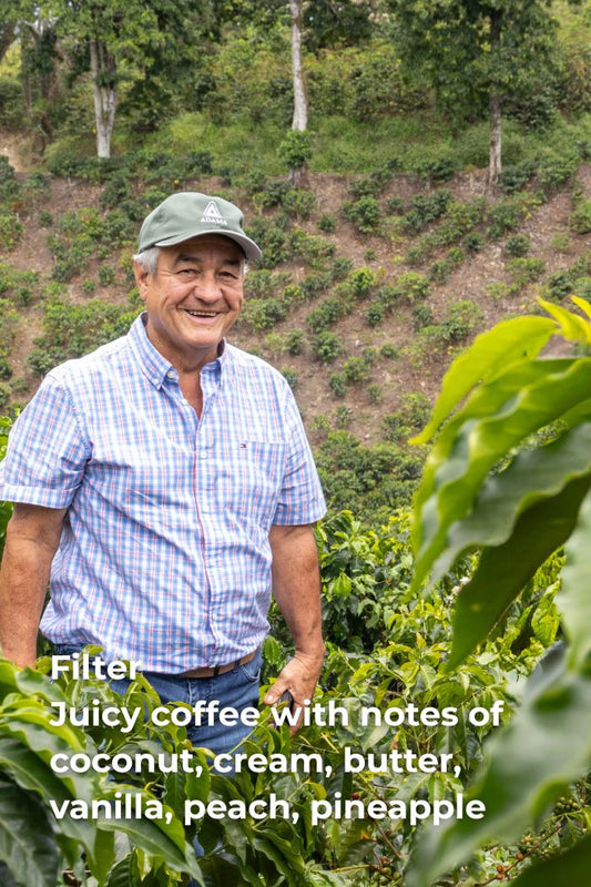 LIMITED FILTER COFFEE OF THE YEAR 2025 - COLOMBIA COCONUT COFERMENT