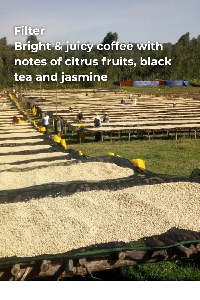 ETHIOPIA NANO CHALLA - WASHED HEIRLOOM ORGANIC