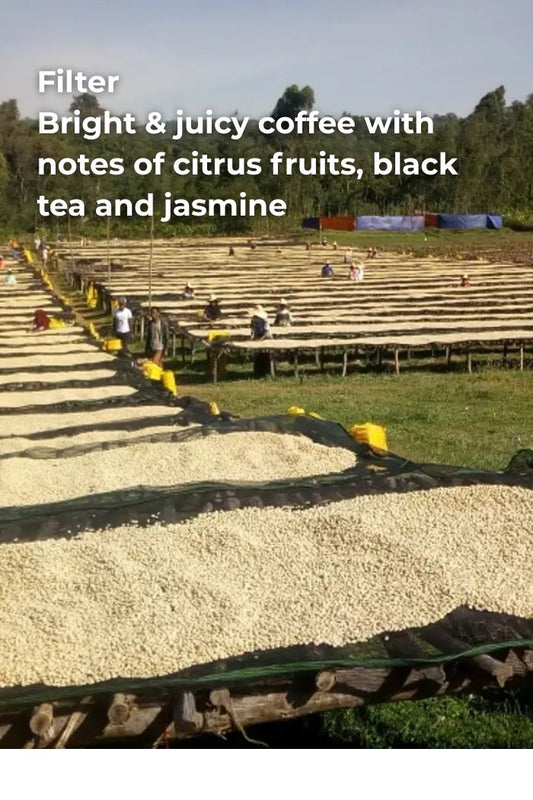 ETHIOPIA NANO CHALLA - WASHED HEIRLOOM ORGANIC