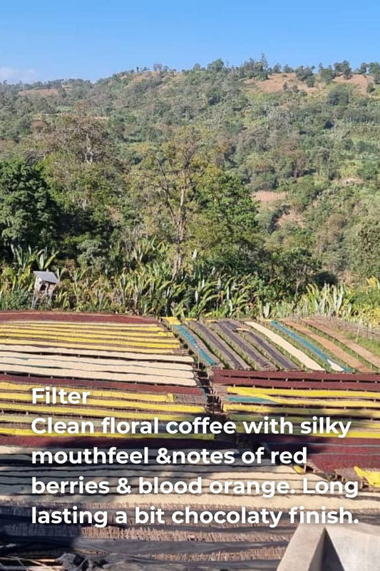 ETIOPIA URAGA - NATURAL BOURBON