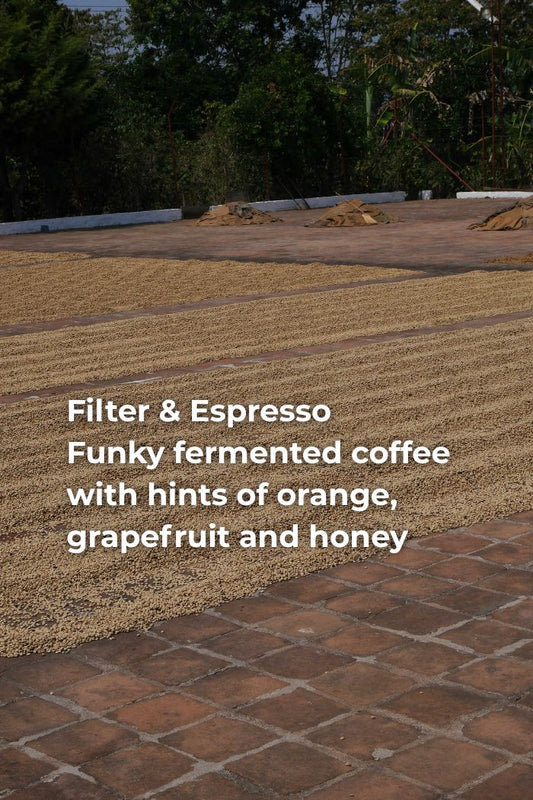 EL SALVADOR EL AGUACATE - 90H MACERATED CUSCATLECO