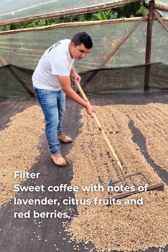 KOLUMBIA NESTOR LASSO - WASHED GESHA