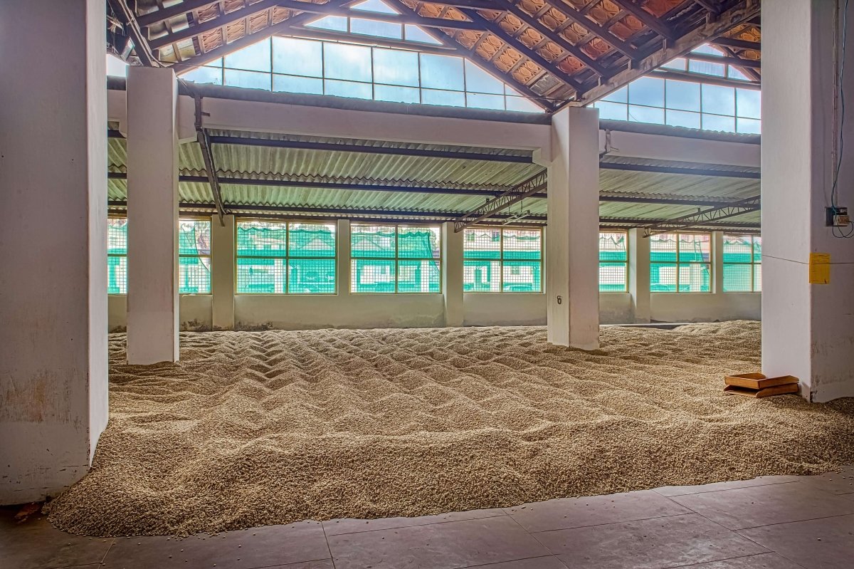 INTIA MONSOON MALABAR RANSKALAINEN PAAHTO - Inka paahtimo - Coffee - Inka paahtimo