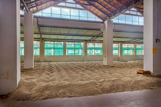 INTIA MONSOON MALABAR RANSKALAINEN PAAHTO - Inka paahtimo - Coffee - Inka paahtimo