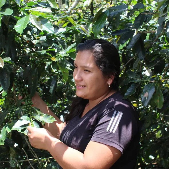 Peru Amazonas Huellas de Mujer Coffee