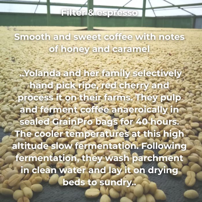 PERU YOLANDA CABRERA - WASHED TYPICA