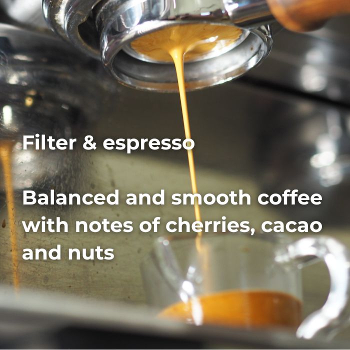 ETIOPIA GUJI - NATURAL HEIRLOOM