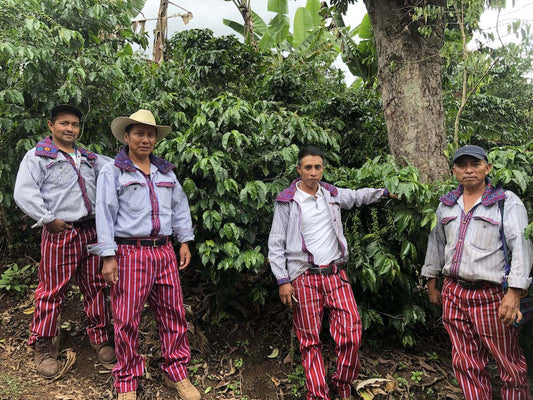 GUATEMALA ASDECAFE - LUOMUKAHVI - Inka paahtimo - Coffee - Alk. 32 €/kg