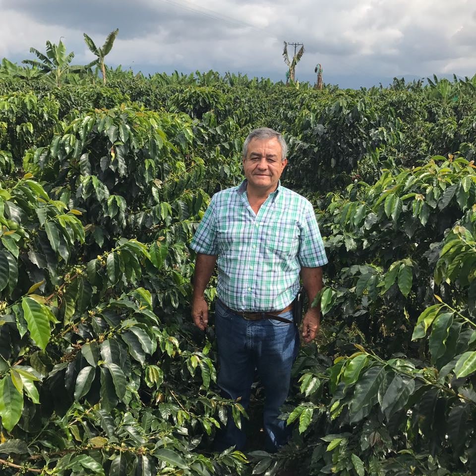 KOLUMBIA JAIRO ARCILA - PEACH EXTENDED COFERMENTATION - Inka paahtimo - Coffee - Alk. 70 €/kg