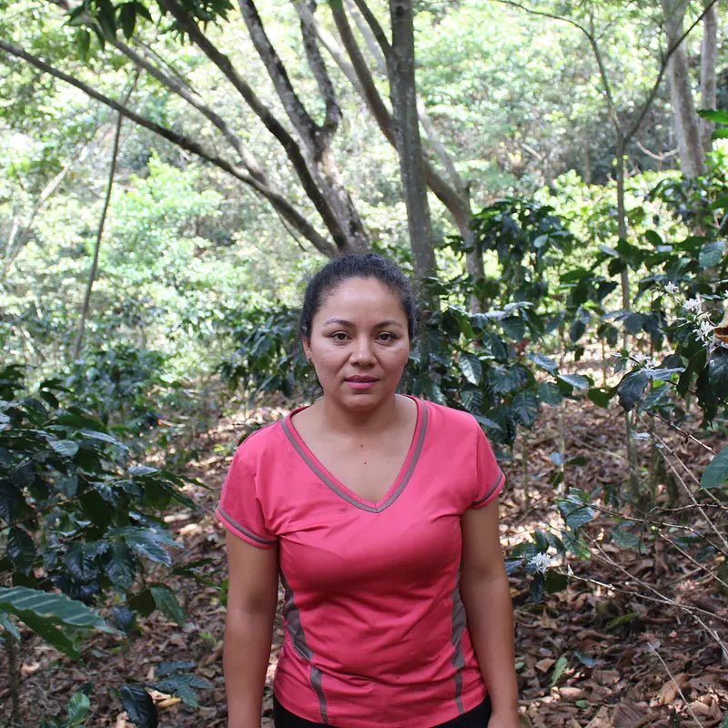 PERU AMAZONAS - NAISVILJELIJÖIDEN KAHVI - Inka paahtimo - Coffee - alk. 30 €/KG