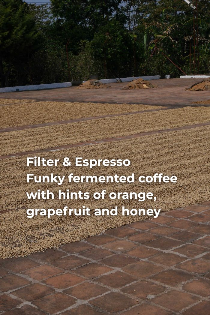 EL SALVADOR EL AGUACATE - 90H MACERATED CUSCATLECO