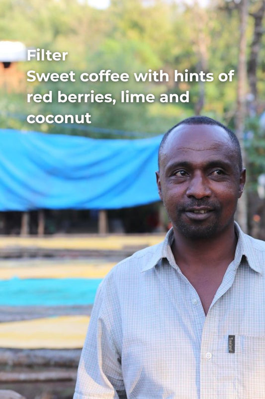 ETHIOPIA MUSTEFA - NATURAL HEIRLOOM ORGANIC