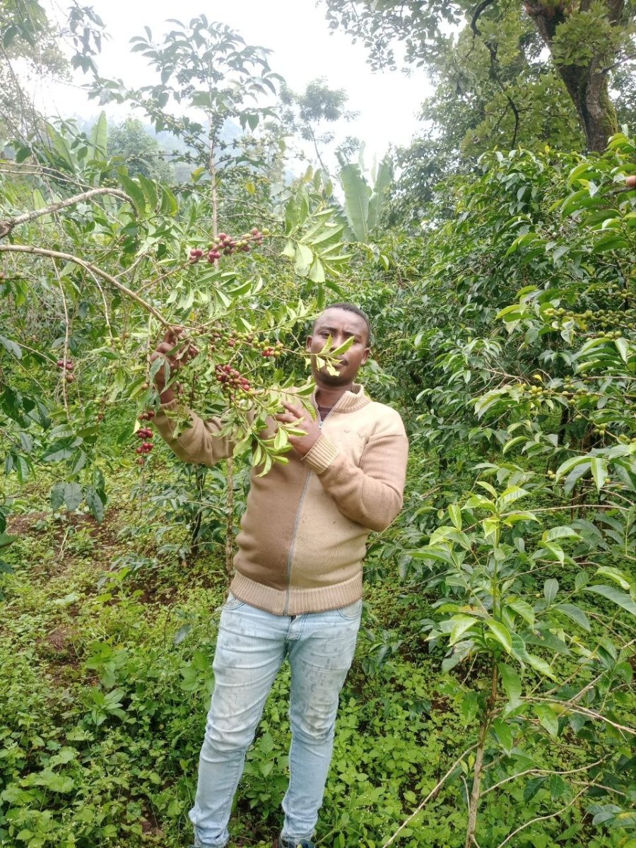 ETIOPIA NATURAL - YOSEF YOHANNIS - Inka paahtimo - Coffee - Inka paahtimo